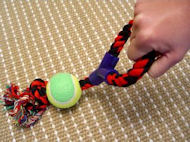 Fiber Bone with Ball and Handle Fiber Bone with Ball and Handle