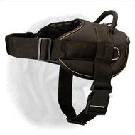 Light Weight Nylon Harness for Dogue de Bordeaux's Pulling and Tracking Light Weight Nylon Harness for Dogue de Bordeaux's Pulling and Tracking