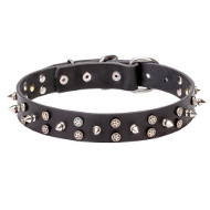 Designer Dog Collar Wide, Leather Collar Exclusive [C85N#1057 Collare in  pelle con decorazioni per Pastore tedesco ] : Dog harness, Dog muzzle, Dog  collar, dog leash, Bite Sleeves