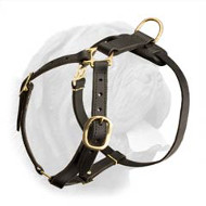 Tracking Dog Harness Leather  The Best Dog Chest Harness - £72.49