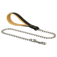 sprenger leash