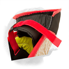 Adjustable straps for Dogue de Bordeaux sleeve
