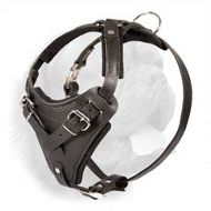 KLIN Leather Agitation Work Harness with handle, sewn