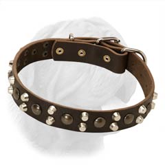 Wide Leather Dogue de Bordeaux Buckle Collar Decorated with Spikes and Studs
