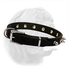 Almost 1 Inch Wide Dogue de Bordeaux Leather Collar with Refined Decoration