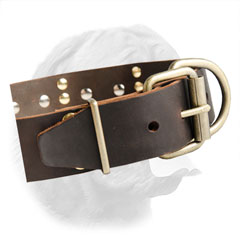 Durable Brass Buckle on French Mastiff Collar with Spikes and Plates