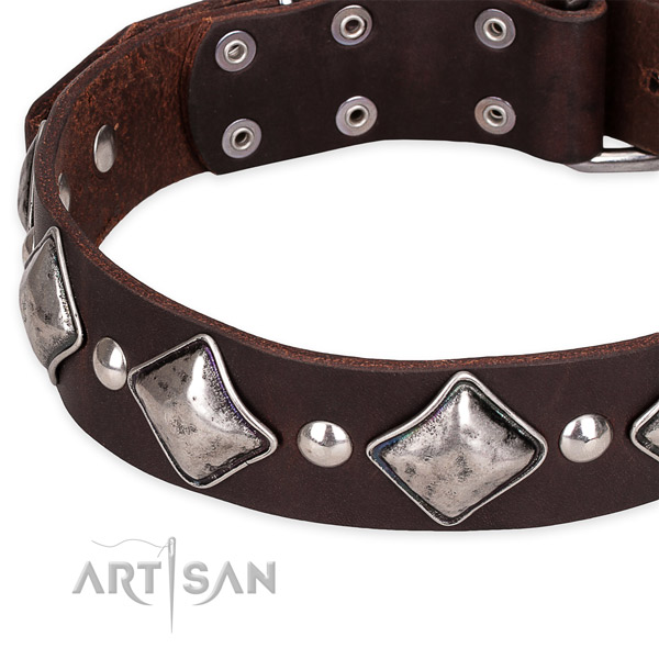 Snugly fitted leather dog collar with extra sturdy rust-proof set of hardware