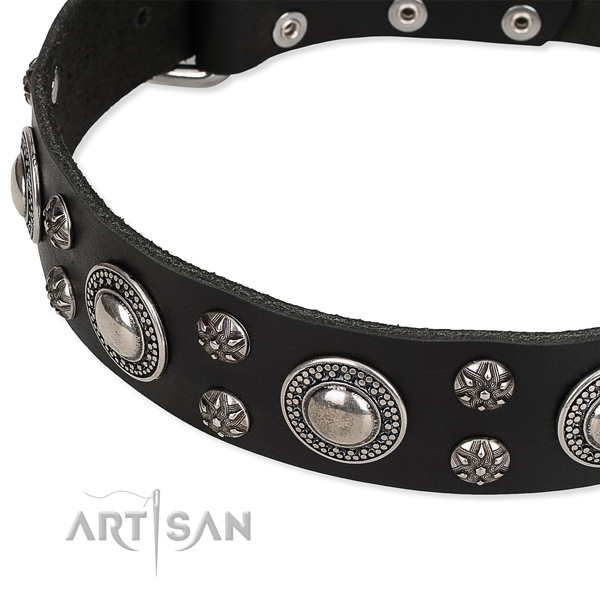 Adjustable leather dog collar with resistant to tear and wear brass plated buckle