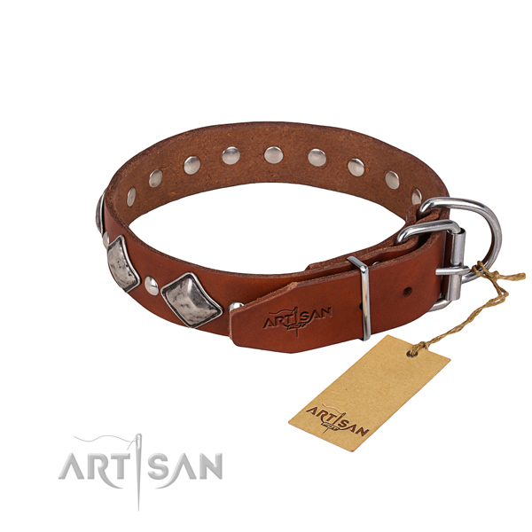Durable leather dog collar with riveted details