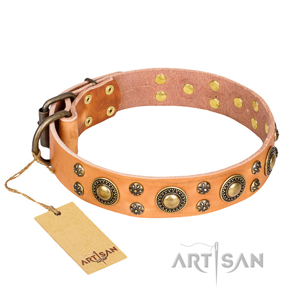 Trendy full grain genuine leather dog collar for daily walking