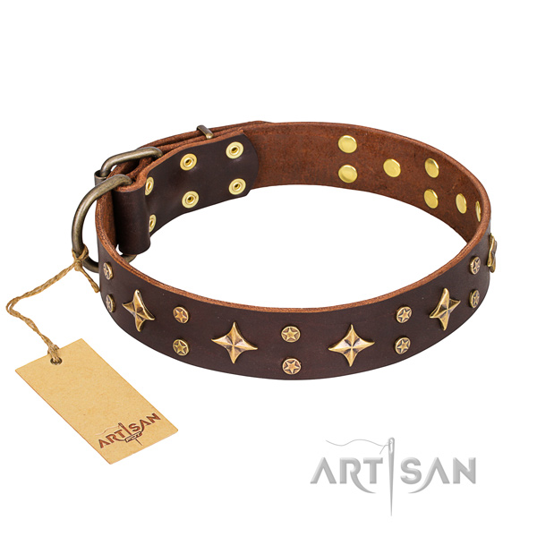 Fashionable natural genuine leather dog collar for everyday use