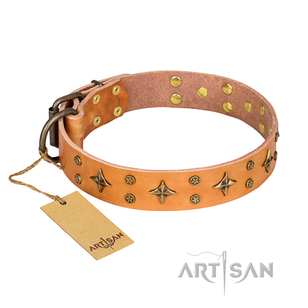 Impressive full grain genuine leather dog collar for stylish walking
