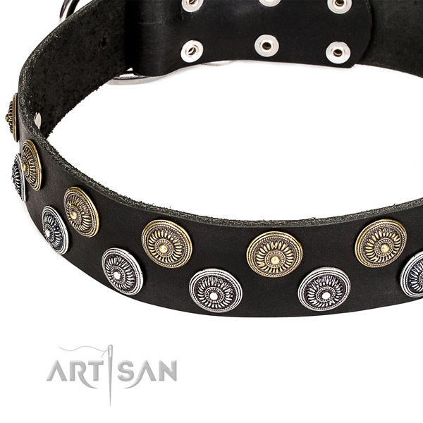 Genuine leather dog collar with awesome adornments