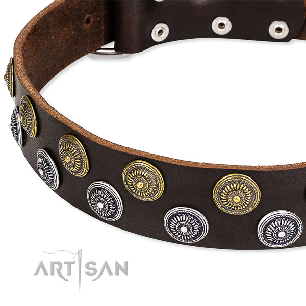 Genuine leather dog collar with inimitable studs