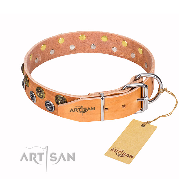 Everyday use natural genuine leather collar with embellishments for your doggie