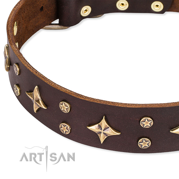 Full grain genuine leather dog collar with unusual studs