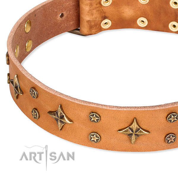 Full grain genuine leather dog collar with extraordinary decorations