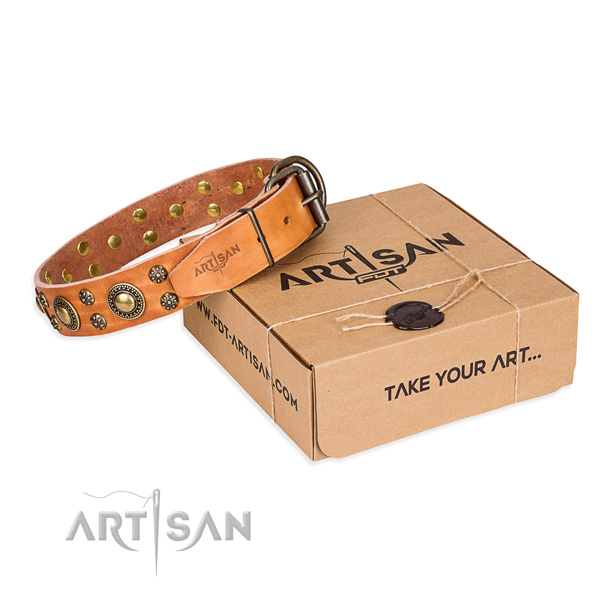 Full grain genuine leather dog collar with studs for daily use