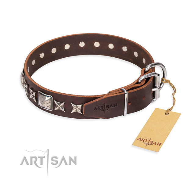 Walking leather collar with studs for your four-legged friend