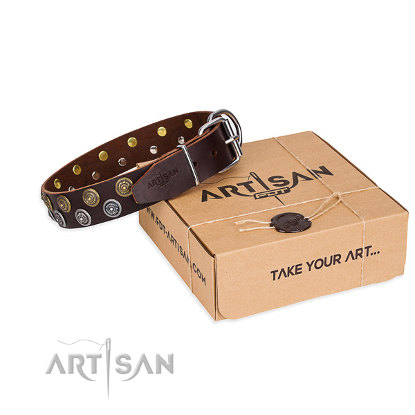Full grain leather dog collar with studs for everyday walking