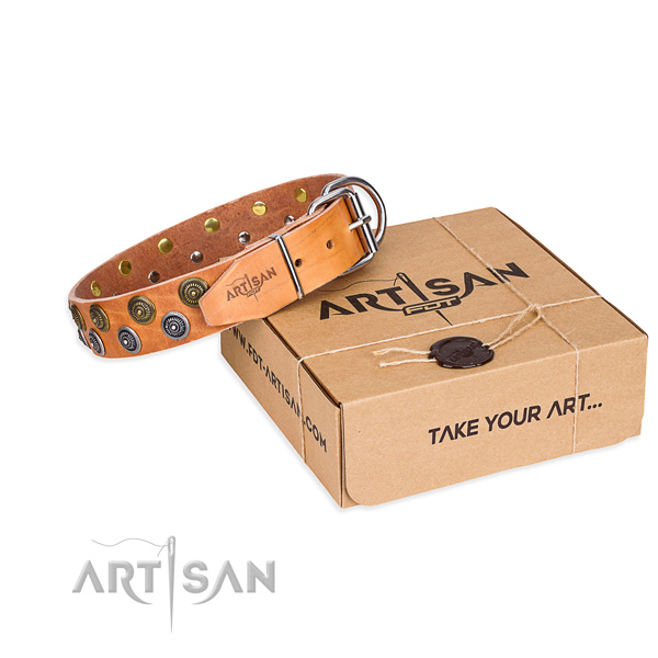 Full grain leather dog collar with studs for everyday walking