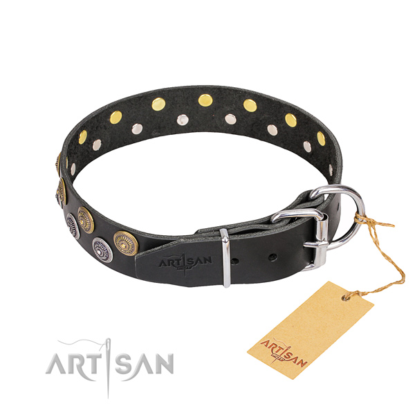 Stylish walking full grain leather collar with embellishments for your dog