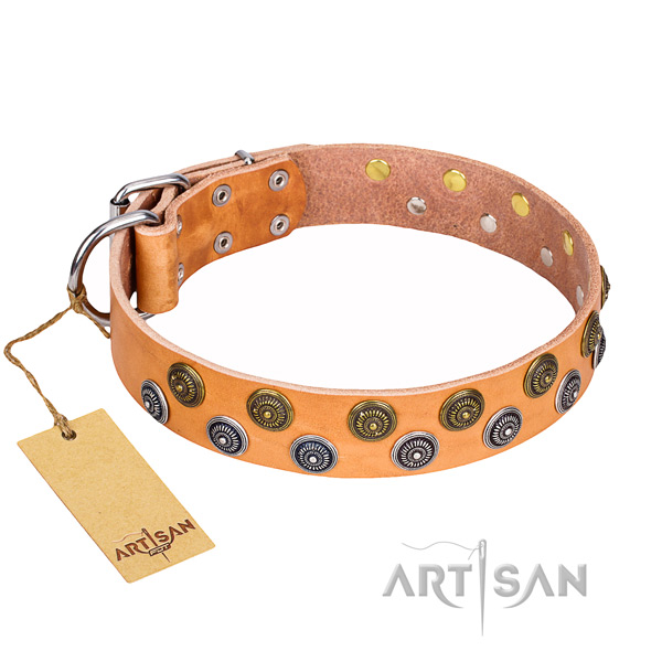 Stunning full grain genuine leather dog collar for daily walking