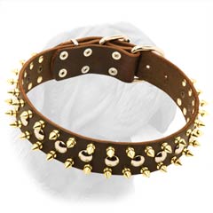 Quality French Mastiff Leather Collar with Spikes and Studs