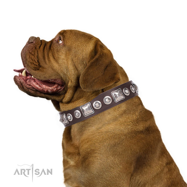 Inimitable studded natural leather dog collar for fancy walking