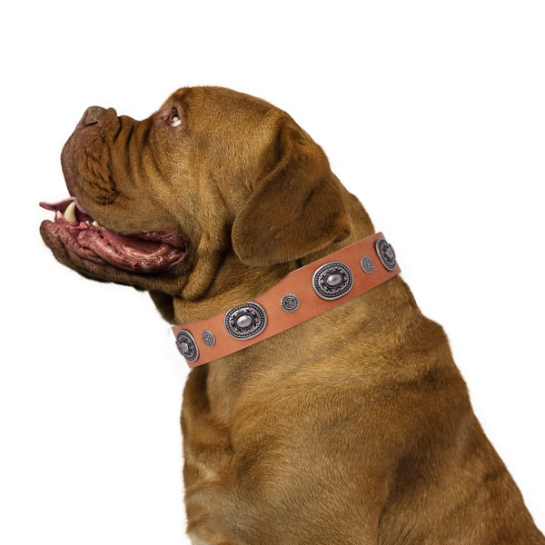 Full grain leather dog collar with rust resistant buckle and D-ring for stylish walking