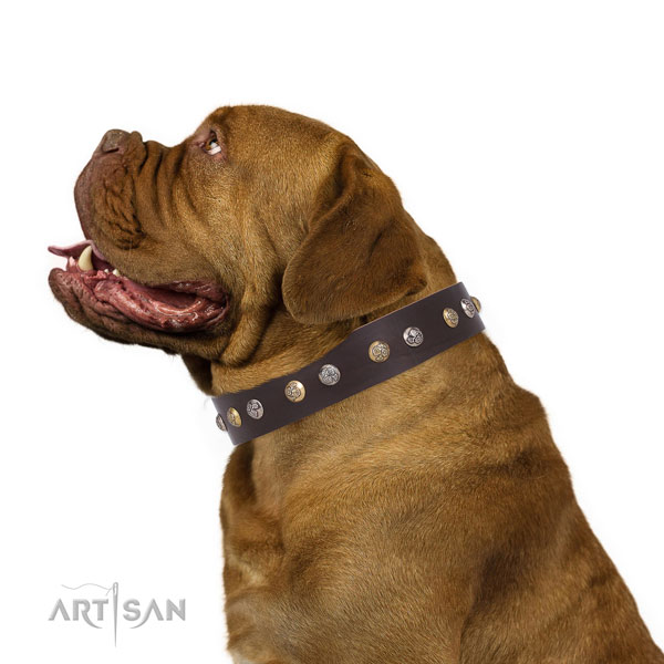 Natural leather dog collar with reliable buckle and D-ring for comfy wearing
