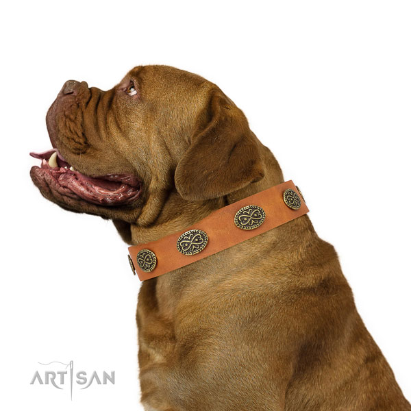 Trendy embellishments on easy wearing full grain leather dog collar