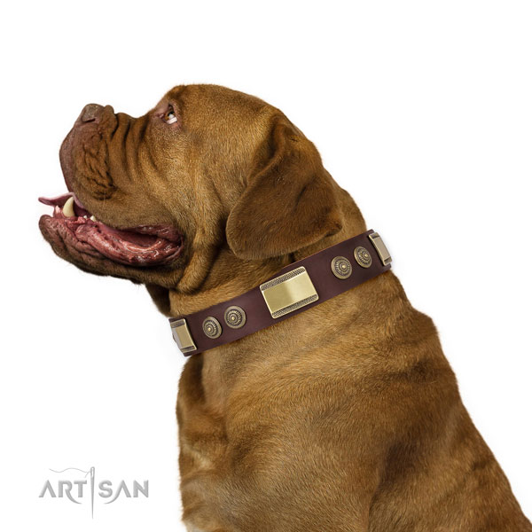 Incredible decorations on daily use dog collar