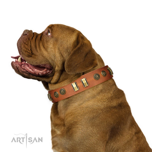 Corrosion resistant buckle on full grain leather dog collar for stylish walking