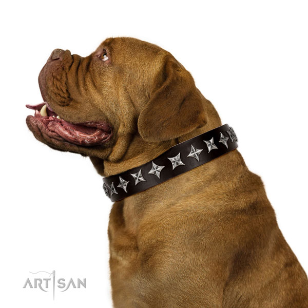 Comfy wearing adorned dog collar of quality natural leather