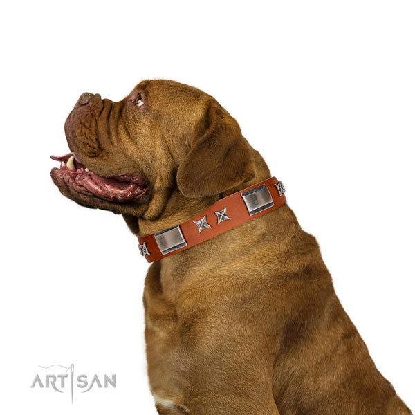 Comfy wearing high quality full grain natural leather dog collar with adornments