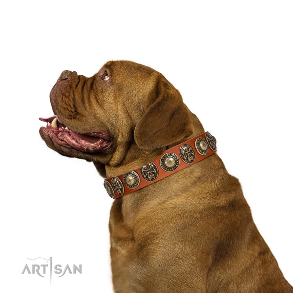 Fashionable full grain leather collar for your impressive doggie