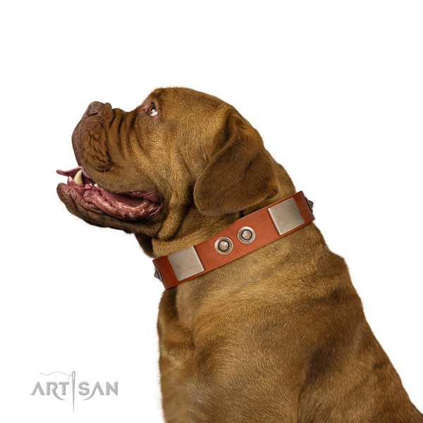 Reliable buckle on full grain natural leather dog collar for daily walking