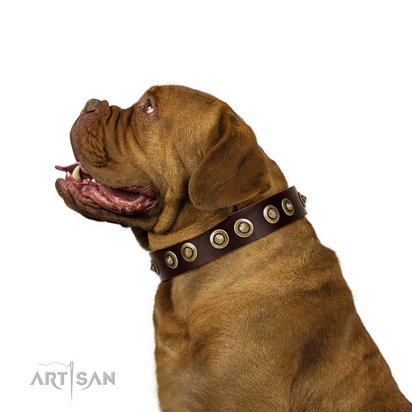 Corrosion resistant D-ring on full grain natural leather dog collar for easy wearing