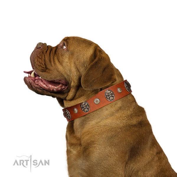 Leather dog collar with exceptional studs