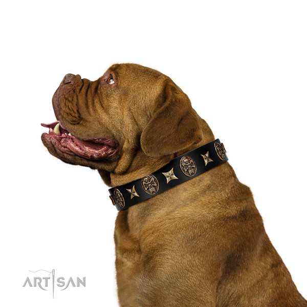 Basic training dog collar of leather with stylish design adornments