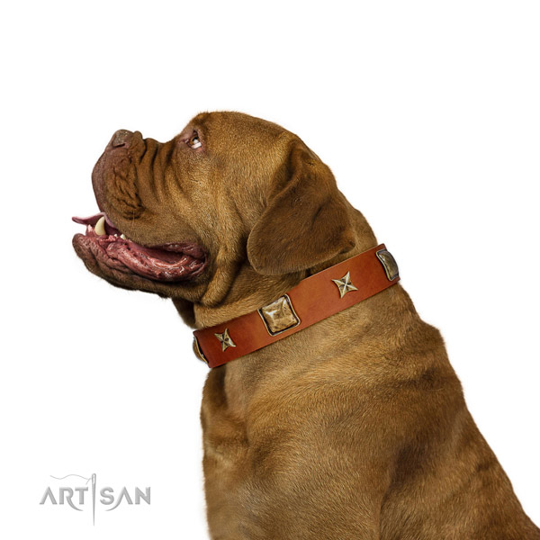Adjustable leather dog collar with embellishments