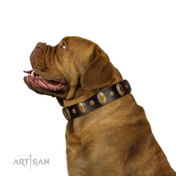 Full grain natural leather dog collar of reliable material with awesome studs