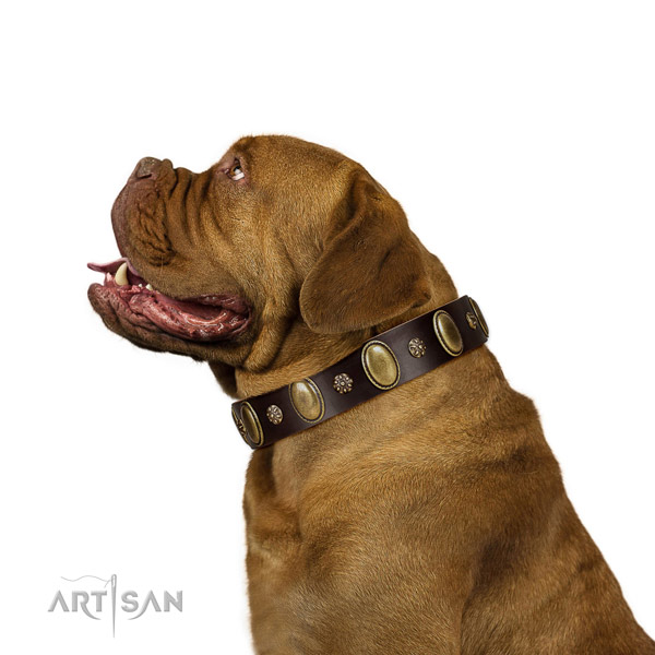Fancy walking soft to touch full grain genuine leather dog collar with adornments