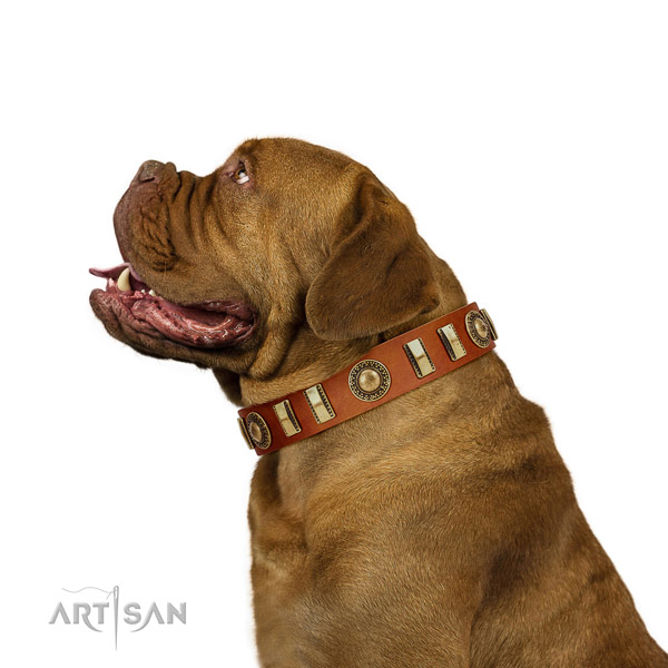 Impressive full grain natural leather dog collar with reliable D-ring