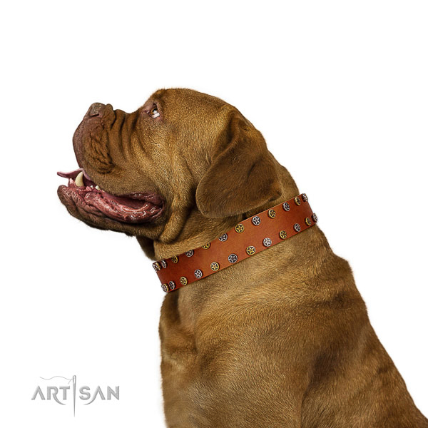 Stylish walking flexible leather dog collar with decorations