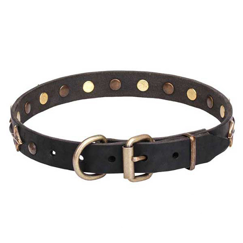 Dogue de Bordeaux collar with reliable bronze-plated buckle
