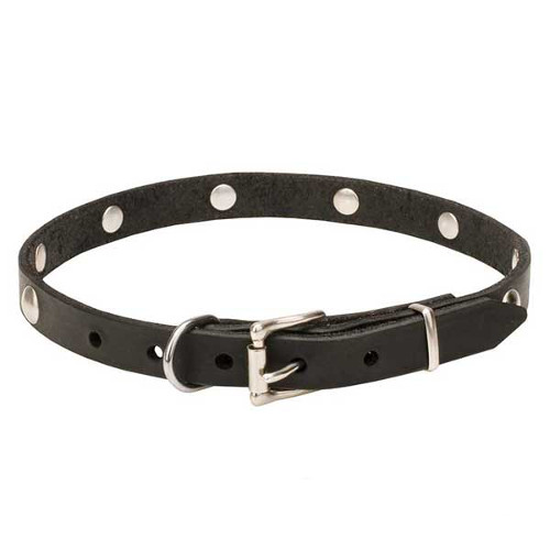 Pure leather dog collar for daily walking