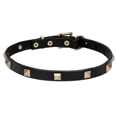 Dogue de Bordeaux collar decorated with brass studs