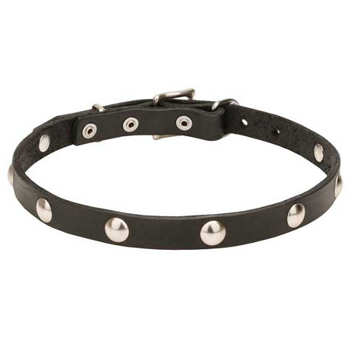 Designer genuine leather dog collar